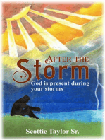 "After the Storm"