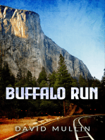 Buffalo Run