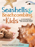 Seashells & Beachcombing for Kids