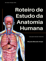 Roteiro De Estudo Da Anatomia Humana