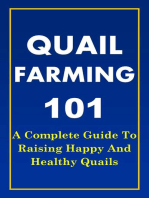 Quail Farming 101