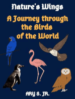 Nature's Wings A Journey through the Birds of the World