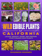 Wild Edible Plants of California: Foraged Finds in the USA