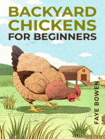 BACKYARD CHICKENS FOR BEGINNERS: A Comprehensive Guide to Raising Your Own Flock (2023 Crash Course)