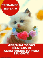 Treinando Seu Gato