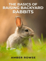 THE BASICS OF RAISING BACKYARD RABBITS: A Beginner's Guide to Raising Happy and Healthy Rabbits in Your Backyard (2023 Crash Course)
