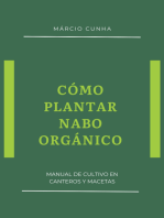 Cómo Plantar Nabo Orgánico
