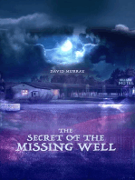 The Secret of the Missing Well