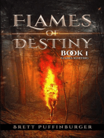 Flames of Destiny Book 1: Flames Igniting: Flames Igniting