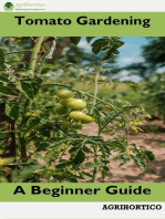 Tomato Gardening A Beginner Guide