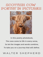 Scottish Cow Poetry in Pictures