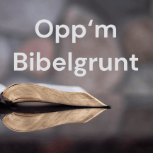 Opp‘m Bibelgrunt Podcast