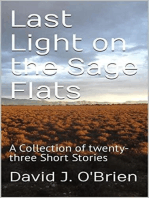 Last Light on the Sage Flats