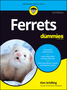 Ferrets For Dummies by Kim Schilling (Ebook) Read free for 30 days
