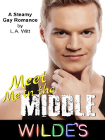 Meet Me in the Middle: Wilde's, #5