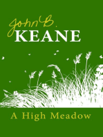A High Meadow