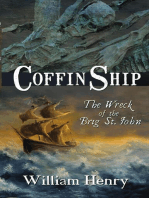 Coffin Ship: The Wreck of the Brig St. John