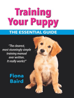 Training Your Puppy: The Essential Guide