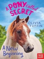 A Pony Called Secret