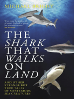 The Shark That Walks On Land: and Other Strange But True Tales of Mysterious Sea Creatures
