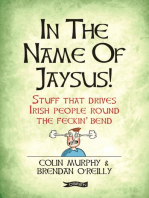 In The Name of Jaysus!: Stuff That Drives Irish People Round the Feckin' Bend