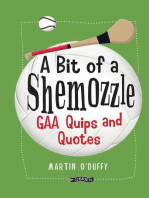 A 'A Bit Of A Shemozzle': GAA Quips & Quotes