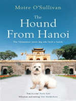 The Hound From Hanoi: The Vietnamese Street Dog Who Built a Family