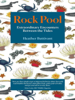 Rock Pool: Extraordinary Encounters Between the Tides