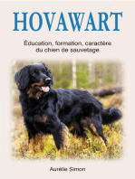 Hovawart 