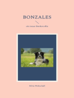 Bonzales: ein treuer Bordercollie