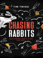 Chasing Rabbits: Reclaiming God's Plan For Rest