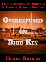 Overexposed on Bird Key