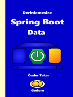 Derinlemesine Spring Boot Data