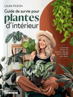 Guide de survie pour plantes d’intérieur: Comment choisir les bonnes plantes pour embellir son décor