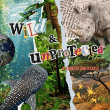 Wild & Unprotected: A Conservation Podcast