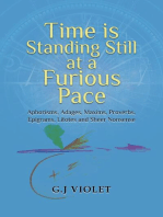 Time Is Standing Still at a Furious Pace: Aphorisms, Adages, Maxims, Proverbs, Epigrams, Litotes and Sheer Nonsense