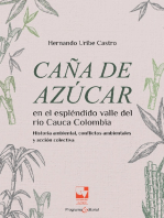 Caña de azúcar en el espléndido valle del río Cauca,: Colombia Historia ambiental, conflictos ambientales y acción colectiva