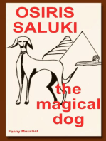 Osiris Saluki, the magical dog