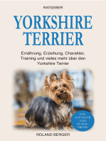 Yorkshire Terrier: Ernährung, Erziehung, Charakter, Training und vieles mehr über den Terrier