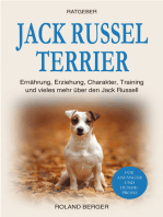 Jack Russell Terrier: Ernährung, Erziehung, Charakter, Training und vieles mehr über den Jack Russell