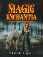 The Magic of Enchantia: A Journey of Courage