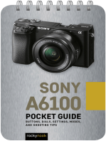 Sony a6100