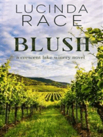 Blush: A Clean Small Town Second Chance Romance