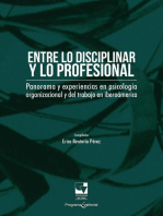 Entre lo disciplinar y lo profesional: Panorama y experiencias en psicología organizacional y del trabajo en Iberoamérica