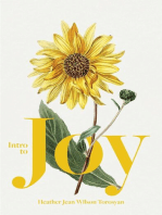 Intro to Joy