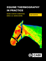 Equine Thermography in Practice