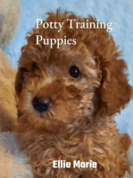 Potty Training Puppies