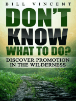 Don't Know What to Do?: Discover Promotion in the Wilderness