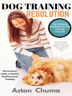 Dog Training Resolution