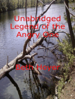 Unabridged Legend of the Angry One